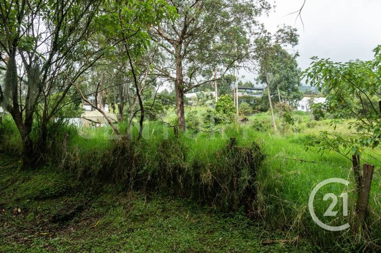 Lote en venta en Los Balsos, Medellín, 600 m² · foto 17 de 21