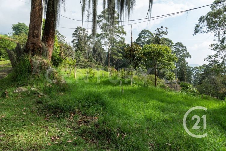 Lote en venta en Los Balsos, Medellín, 600 m² · foto 18 de 21