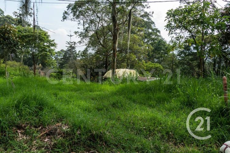 Lote en venta en Los Balsos, Medellín, 600 m² · foto 19 de 21