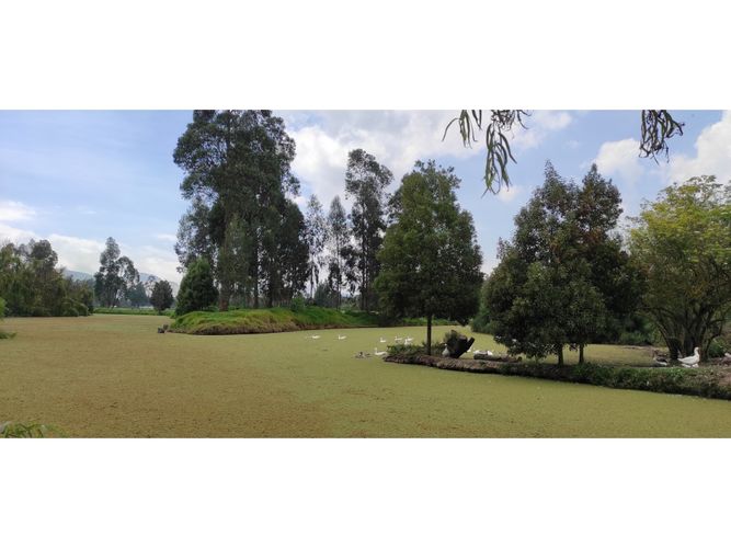 Finca en venta en San Jose, Mosquera · foto 8 de 11
