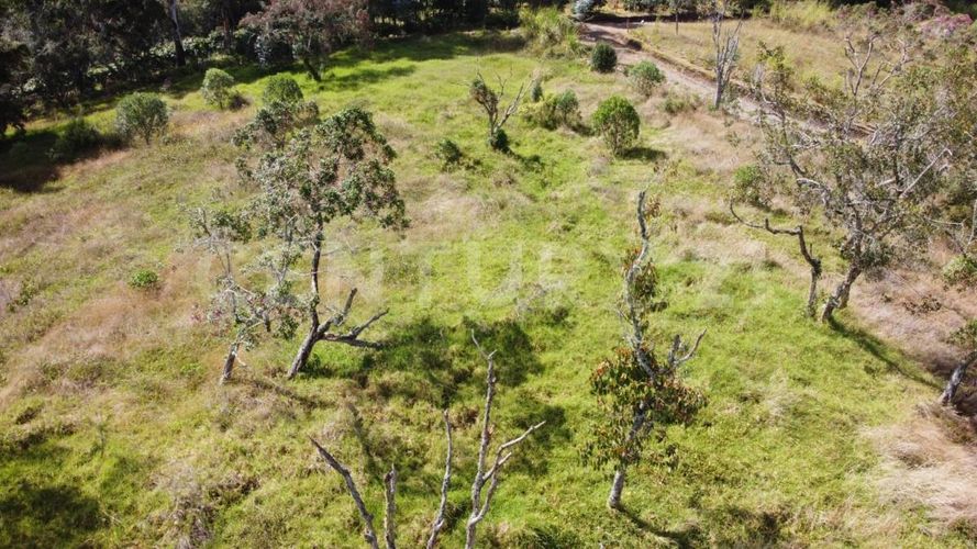 Lote en venta en La Brizuela, Guarne, 5730 m² · foto 2 de 12