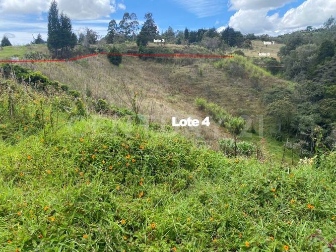 Lote en venta en La Brizuela, Guarne, 5730 m² · foto 3 de 12