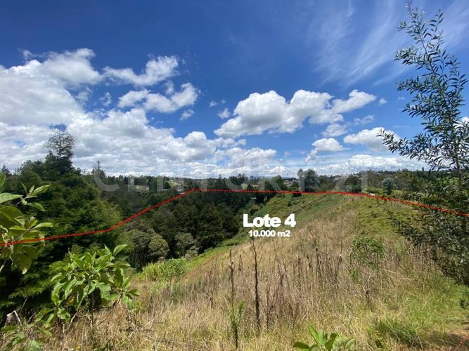 Lote en venta en La Brizuela, Guarne, 5730 m² · foto 4 de 12