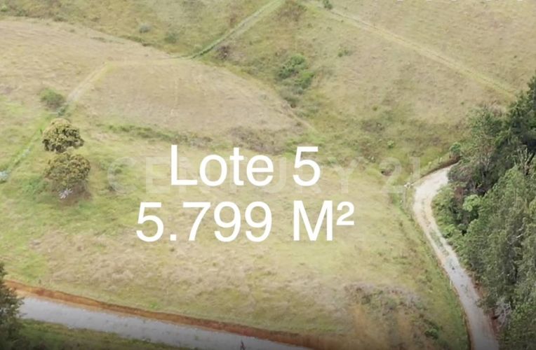 Lote en venta en La Brizuela, Guarne, 5730 m² · foto 6 de 12