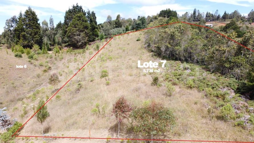 Lote en venta en La Brizuela, Guarne, 5730 m² · foto 7 de 12