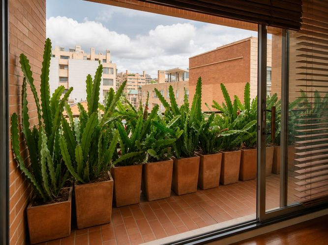 Apartamento en venta en Chico Norte, Bogotá · foto 13 de 19