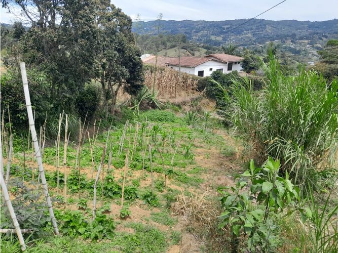 Finca en venta en Guarne, 150 m² · foto 3 de 11