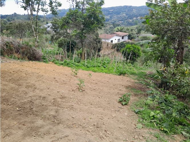 Finca en venta en Guarne, 150 m² · foto 4 de 11