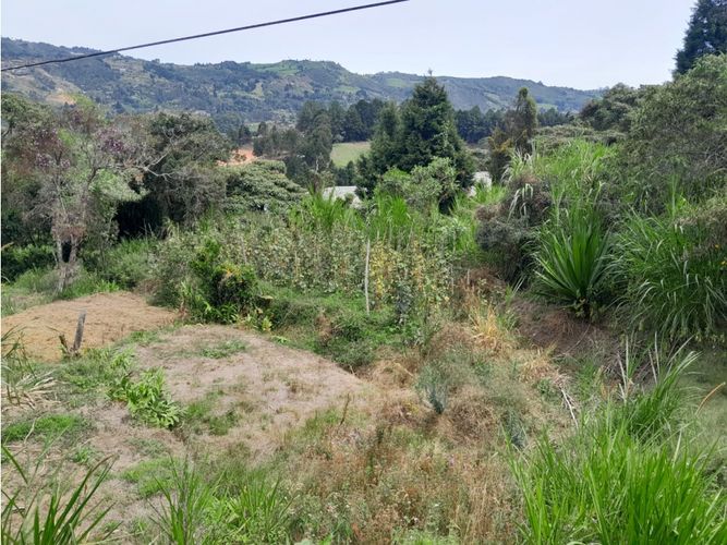 Finca en venta en Guarne, 150 m² · foto 6 de 11