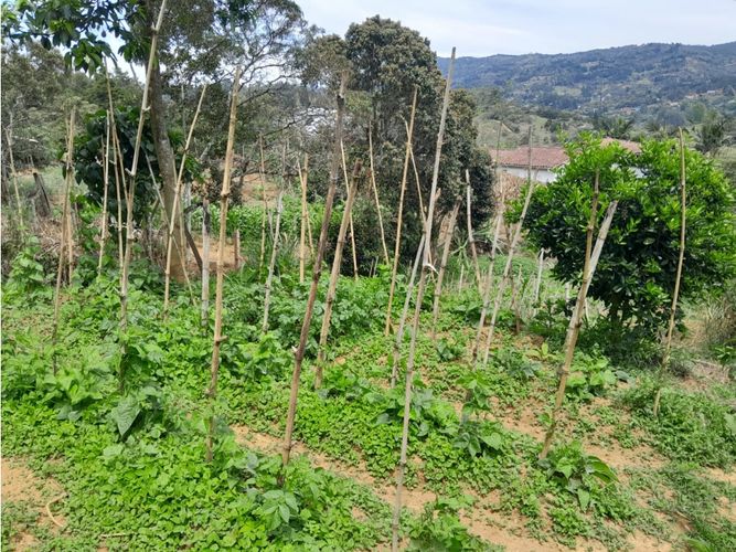 Finca en venta en Guarne, 150 m² · foto 8 de 11