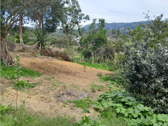 Finca en venta en Guarne, 150 m² · foto 9 de 11