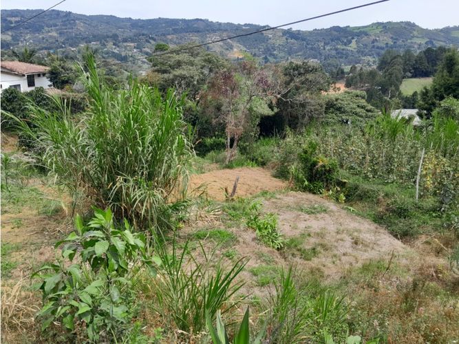 Finca en venta en Guarne, 150 m² · foto 10 de 11