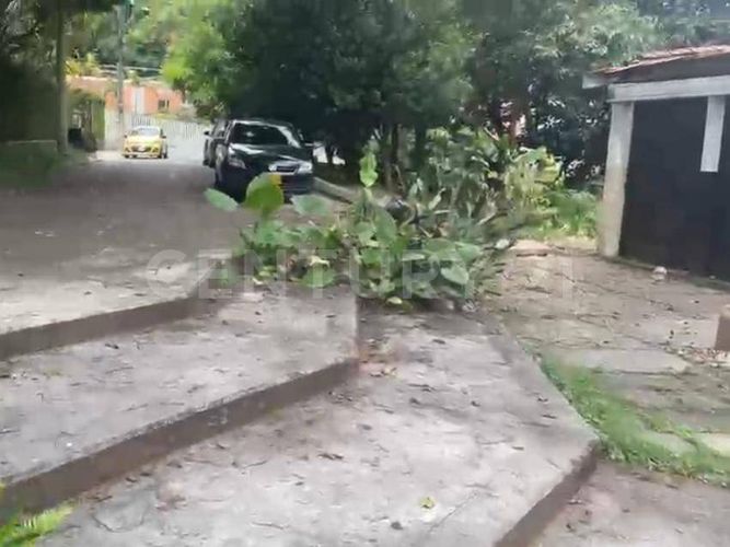 Local en arriendo en Castropol, Medellín, 675 m² · foto 2 de 15