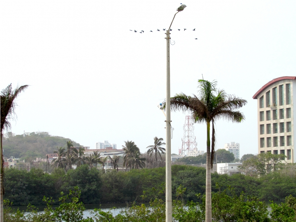 Apartamento en venta en El Cabrero, Cartagena · foto 14 de 24