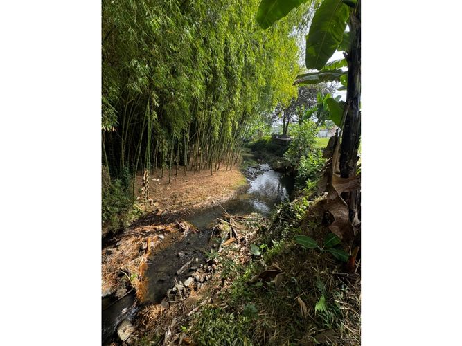 Lote en venta en Guayabal, Palmira, 3060 m² · foto 8 de 24