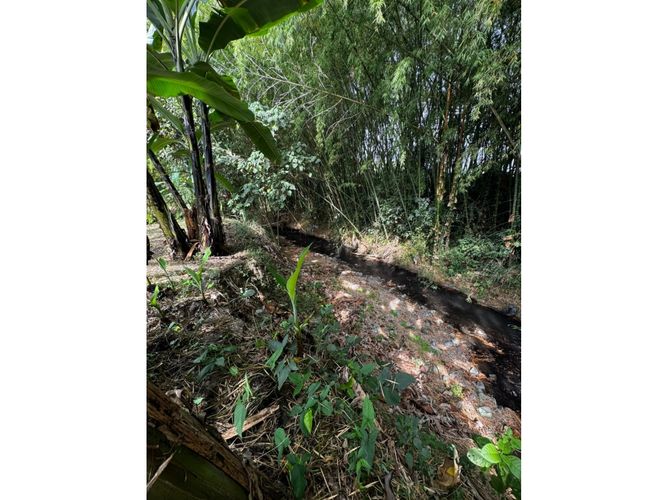 Lote en venta en Guayabal, Palmira, 3060 m² · foto 9 de 24