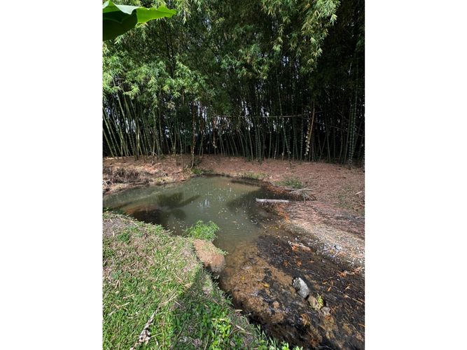 Lote en venta en Guayabal, Palmira, 3060 m² · foto 10 de 24