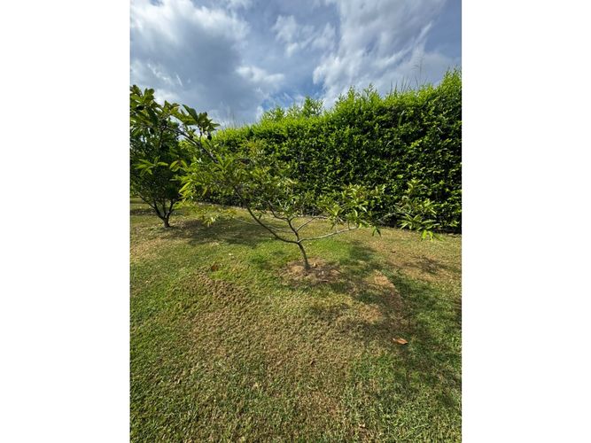 Lote en venta en Guayabal, Palmira, 3060 m² · foto 16 de 24