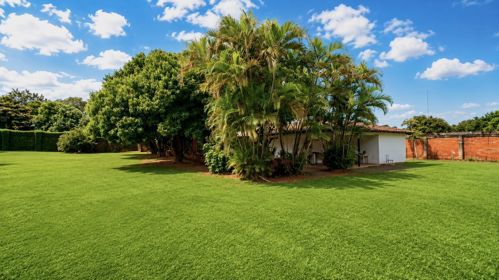 Exclusiva Casa en Venta con Terreno de Alto Potencial: ¡Tu Próxima Gran Inversión! — foto 3