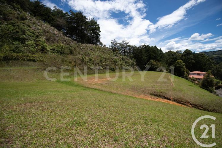 Lote en venta en La Convencion, Rionegro, 5007 m² · foto 3 de 9