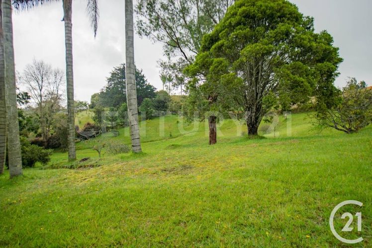 Lote en venta en Las Palmas, Envigado, 6901 m² · foto 7 de 9