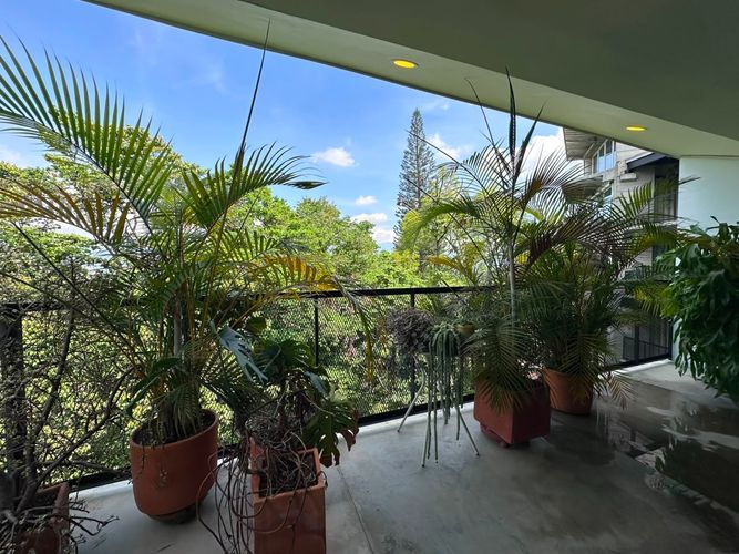 Apartamento de 2 alcobas en arriendo en El Poblado, Medellín, 165 m² · foto 8 de 11