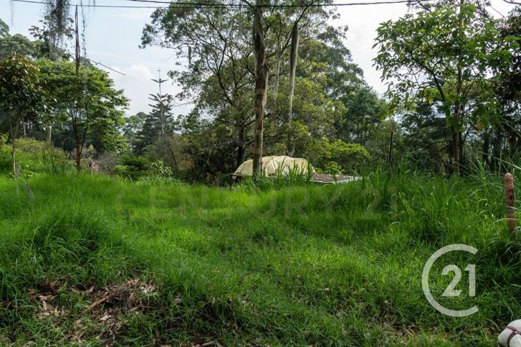 Lote en venta en Los Balsos, Medellín, 600 m² · foto 14 de 15