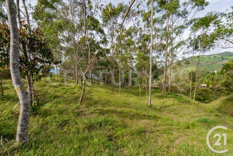 Lote en venta en El Zango, Guarne, 33000 m² · foto 3 de 7