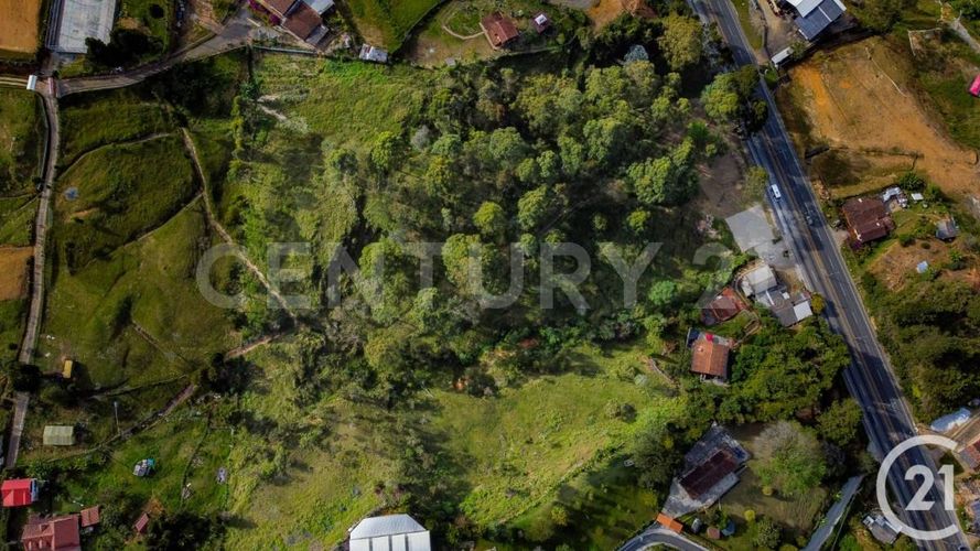 Lote en venta en El Zango, Guarne, 33000 m² · foto 4 de 7