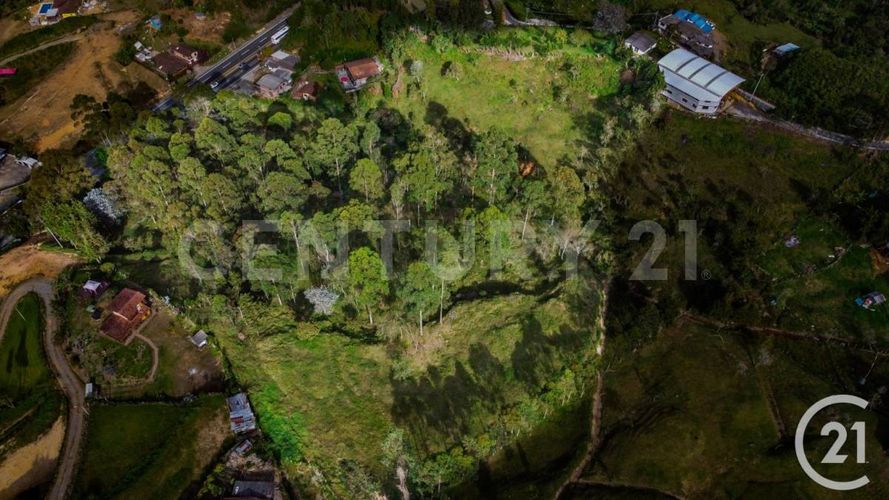 Lote en venta en El Zango, Guarne, 33000 m² · foto 6 de 7