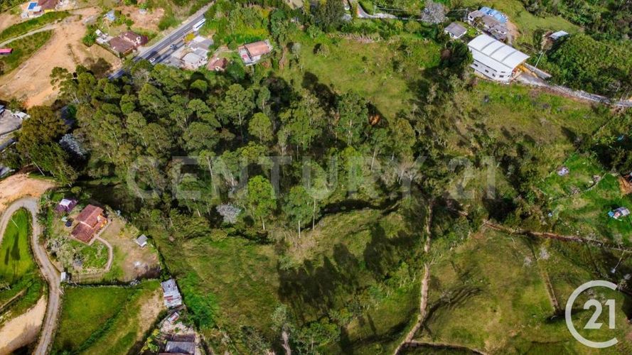 Lote en venta en El Zango, Guarne, 33000 m² · foto 7 de 7
