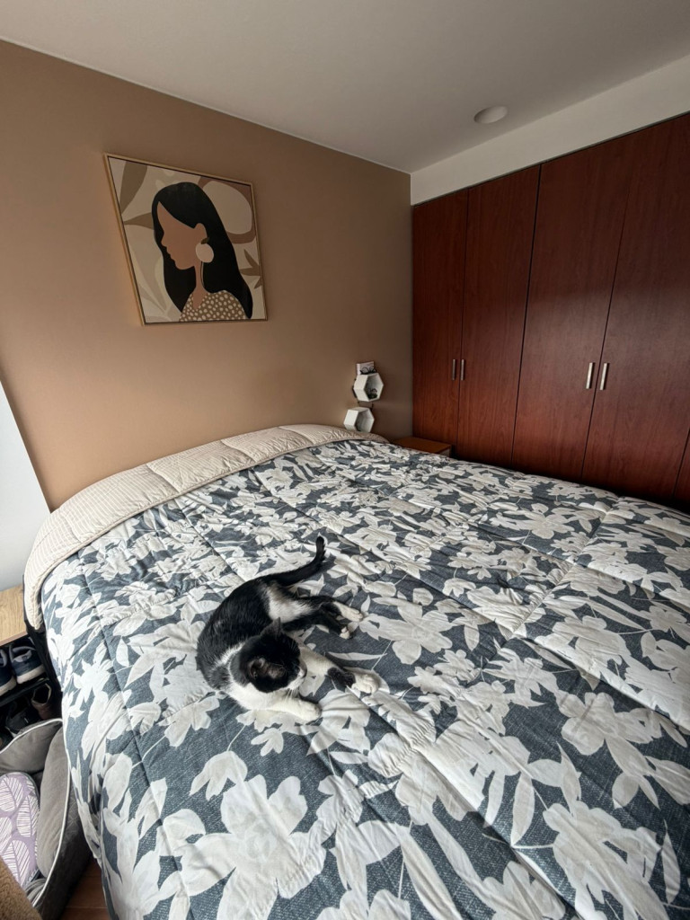Apartamento en venta en Chico Norte, Bogotá · foto 11 de 20