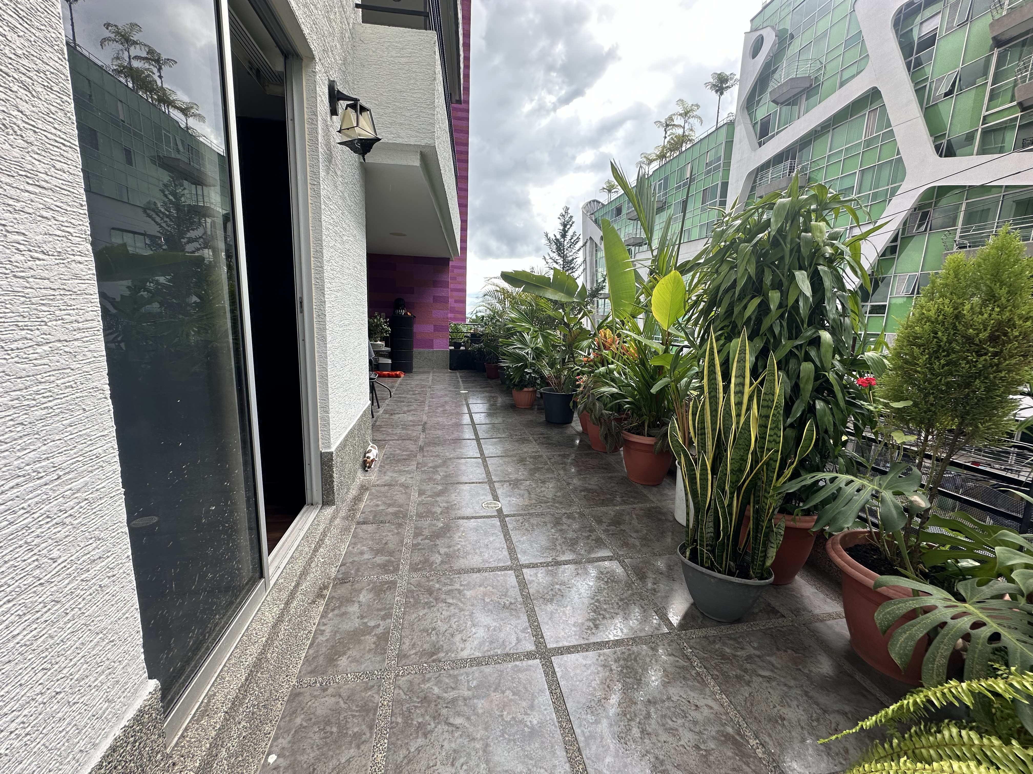 Apartamento en venta en Avenida 19 Norte, Armenia · foto 22 de 22
