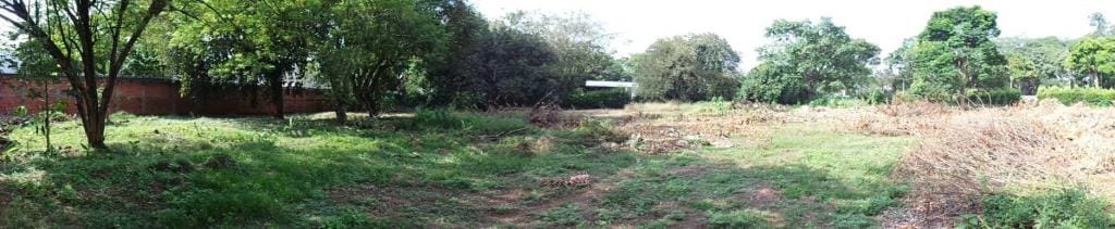 Lote en venta en Pance, Cali, 5311 m² · foto 4 de 5