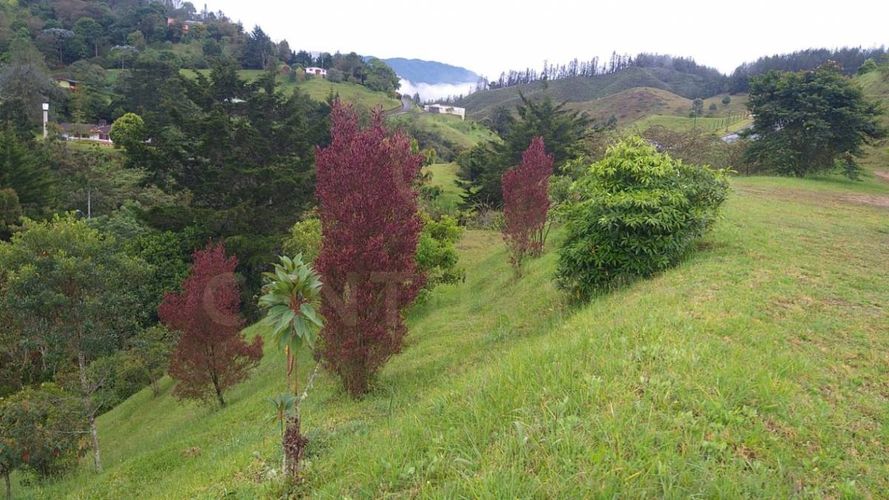 Lote en venta en Pantanillo, El Retiro, 9321 m² · foto 7 de 7