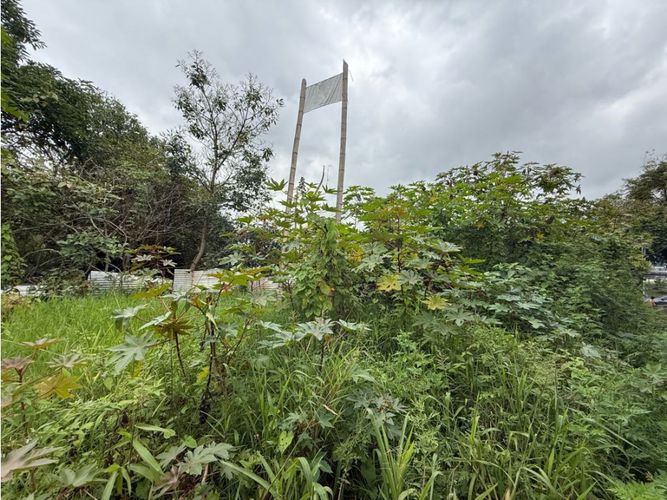 Lote en venta en Cr. Quintas De San Sebastian, Armenia, 11126 m² · foto 3 de 8