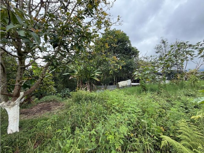 Lote en venta en Cr. Quintas De San Sebastian, Armenia, 11126 m² · foto 5 de 8