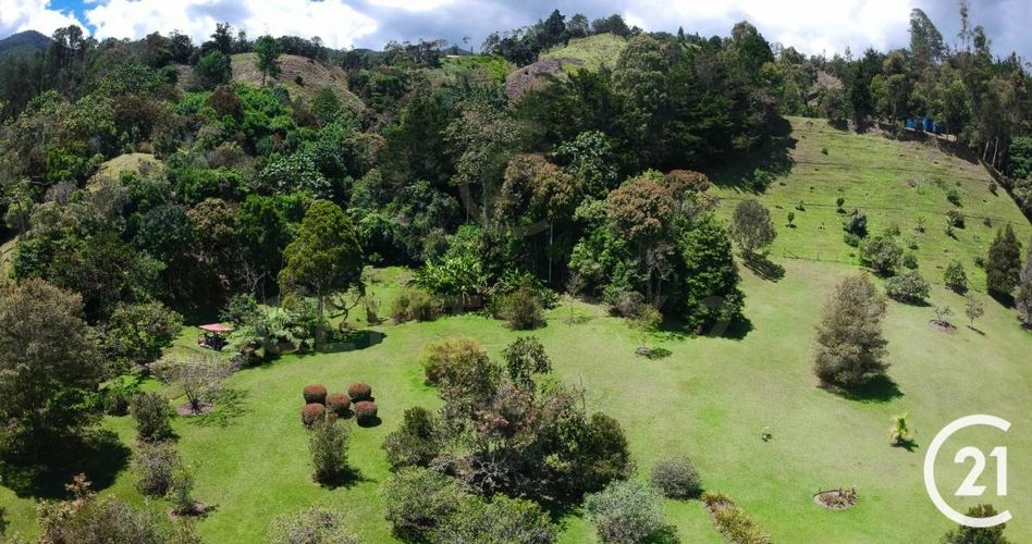 Finca en venta en El Retiro, 230 m² · foto 11 de 16