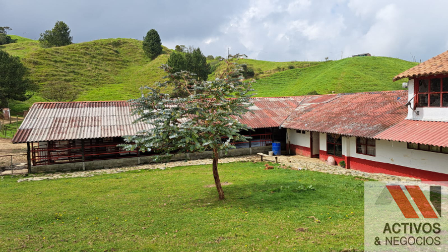 Finca en venta en San Felix, Bello · foto 2 de 24