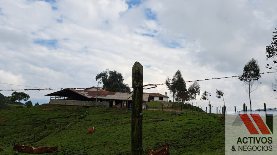Finca en venta en San Felix, Bello · foto 4 de 24