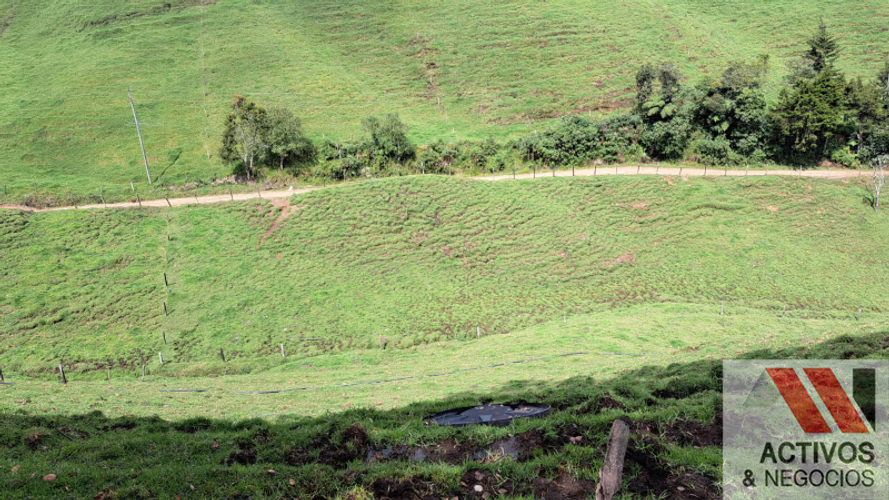 Finca en venta en San Felix, Bello · foto 8 de 24