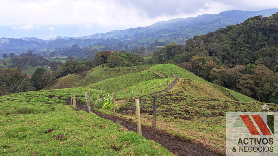 Finca en venta en San Felix, Bello · foto 10 de 24