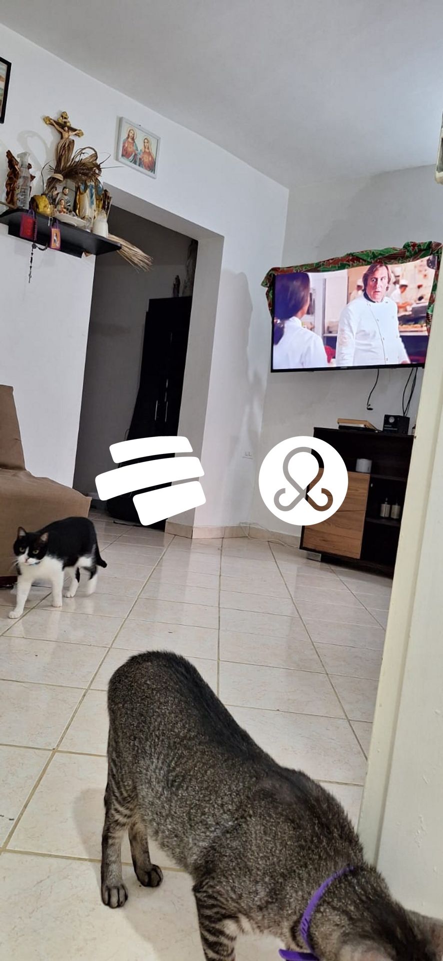 Apartamento en venta en Sevilla, Medellín · foto 14 de 22