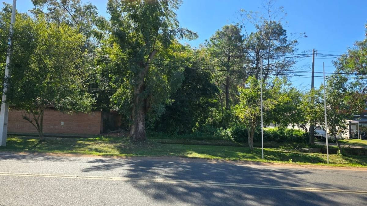 VENDO HERMOSO TERRENO EN ESQUINA SOBRE RUTA EN SAN BERNARDINO — foto 2