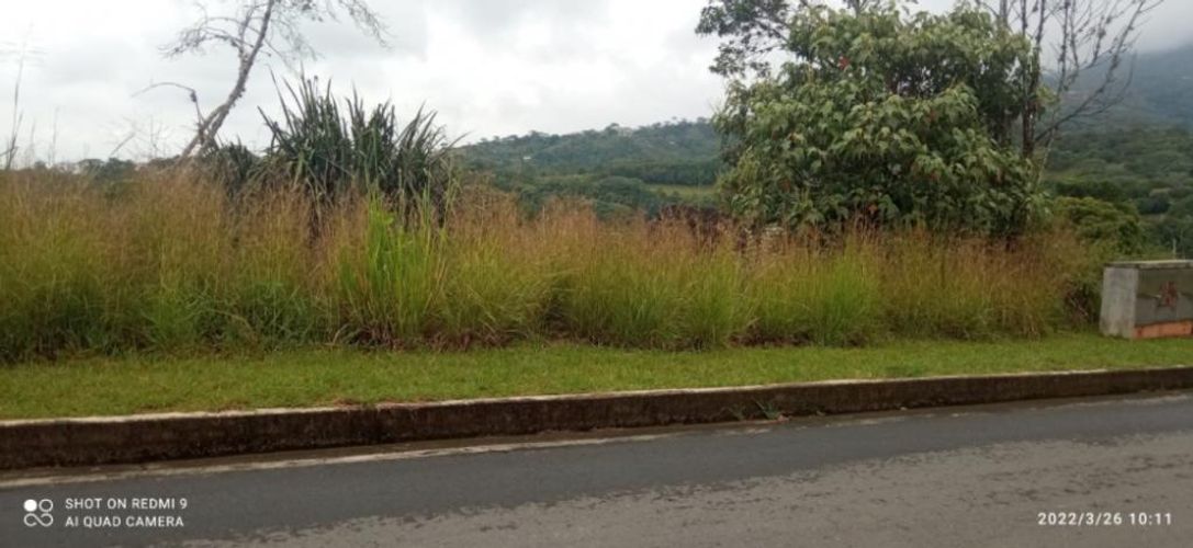 Lote en venta en Pance, Cali, 6000 m² · foto 3 de 7