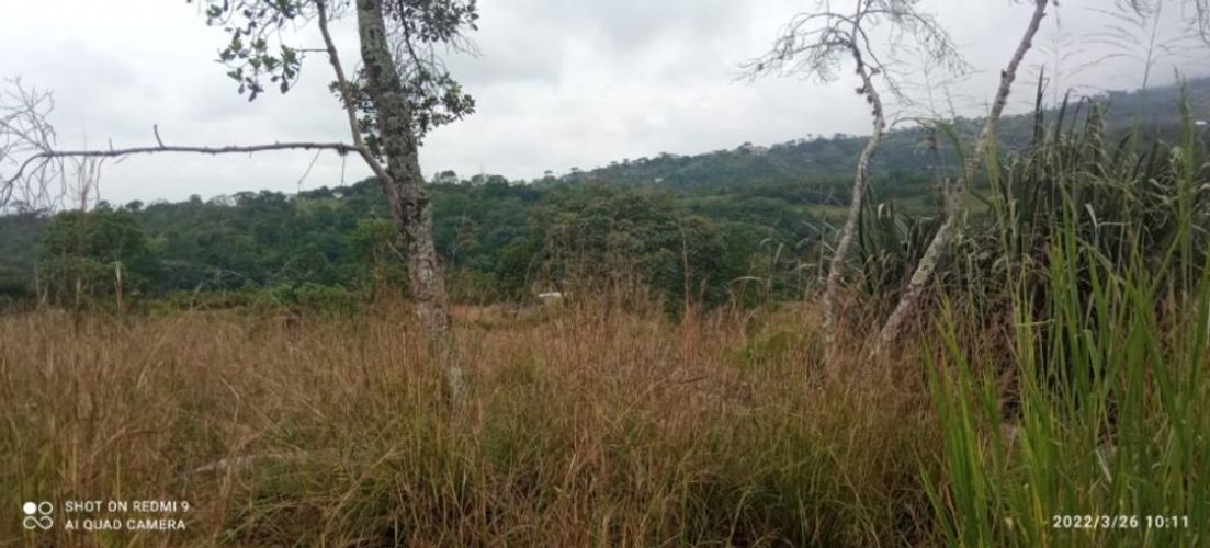 Lote en venta en Pance, Cali, 6000 m² · foto 4 de 7