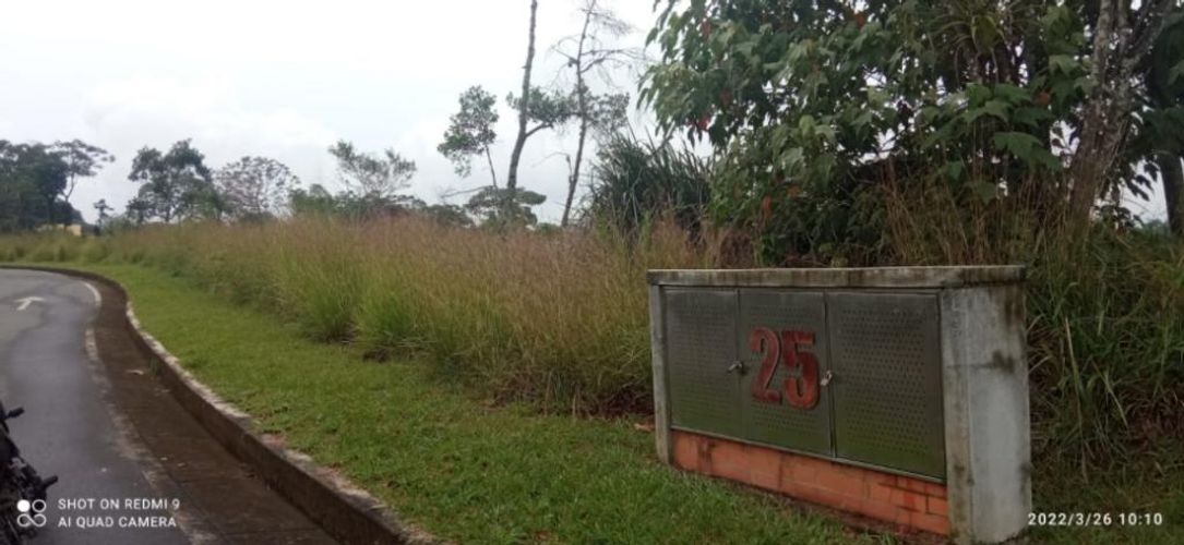 Lote en venta en Pance, Cali, 6000 m² · foto 5 de 7
