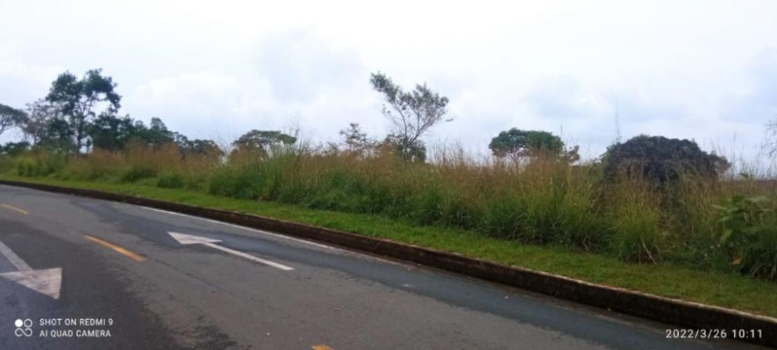 Lote en venta en Pance, Cali, 6000 m² · foto 6 de 7