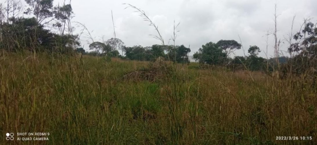 Lote en venta en Pance, Cali, 6000 m² · foto 7 de 7
