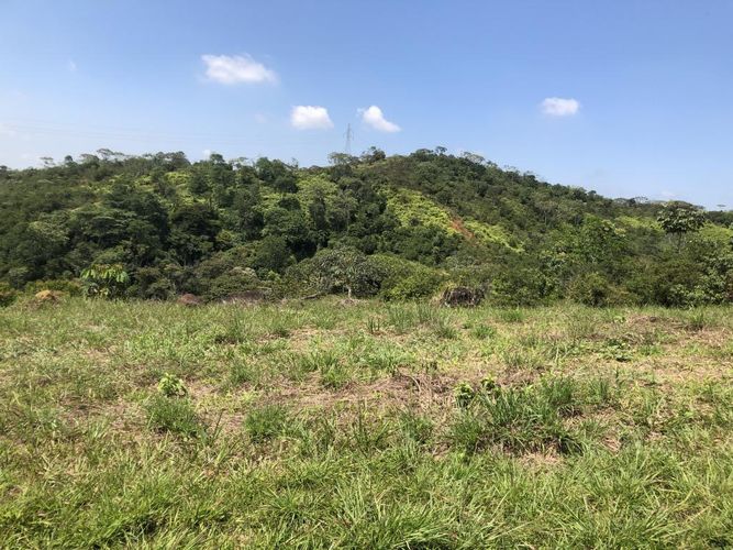 Lote en venta en Pance, Cali, 9000 m² · foto 5 de 7